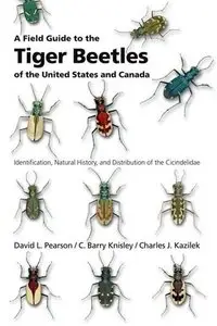 A Field Guide to the Tiger Beetles of the United States and Canada [Repost]