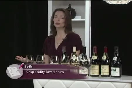 TTC Video - The Everyday Guide to Wines of France