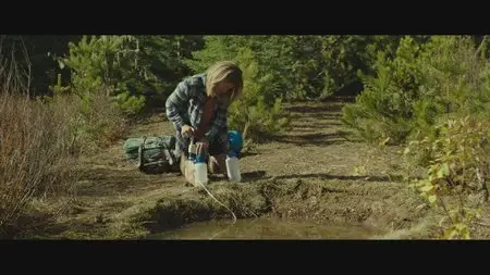 Wild / Дикая (2014)