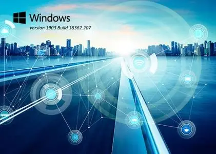 Windows 10 version 1903 Build 18362.207