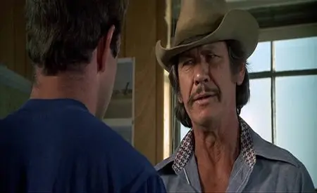 Breakout (1975)
