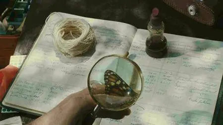 IMAX - Flight of the Butterflies (2012)