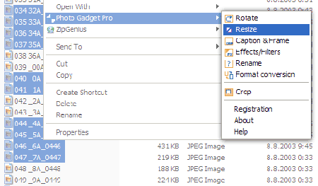 Photo Gadget Pro v2.4 build 071206
