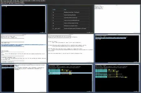 Ditch Your Git GUI: Customize Terminal