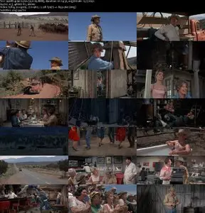 The Rounders (1965)