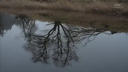 BBC - Roaming in the Wild: Doon the Forth (2020)