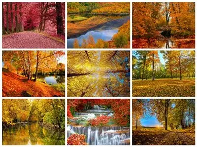 50 Beautiful Autumn HD Wallpapers Set 9