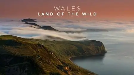 BBC - Wales: Land of the Wild (2019)
