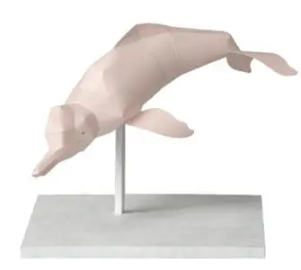 Amazon River Dolphin, Paper Craft Model