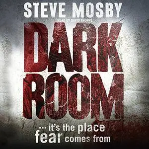 Dark Room [Audiobook]