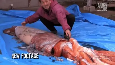 Discovery Channel - Animal Planet: Man-Eating Super Squid (2014)