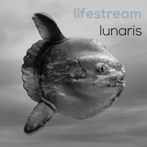 Lifestream - Lunaris (2017) [Official Digital Download]