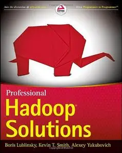 Professional Hadoop Solutions (Repost)