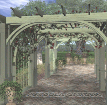 Pergola's Paradise