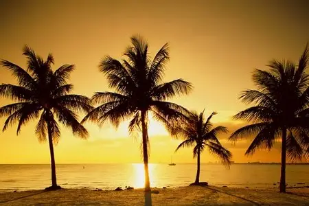 Sunset & Sunrise Wallpapers