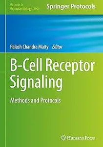 B-Cell Receptor Signaling: Methods and Protocols
