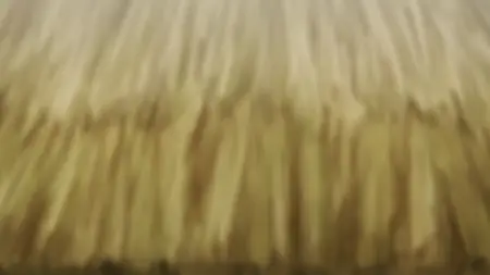 Spice and Wolf MERCHANT MEETS THE WISE WOLF (2024 S01E01 The Harvest Festival and the Crowded Drivers Box LostYears