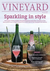 Vineyard - August 2025
