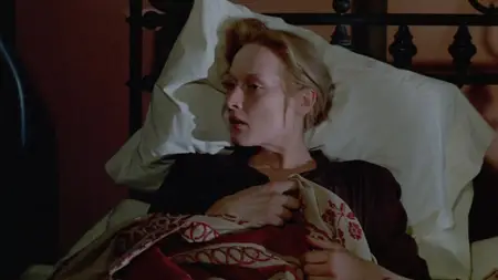 Sophie's Choice (1982)