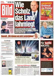 Bild - 11 November 2024