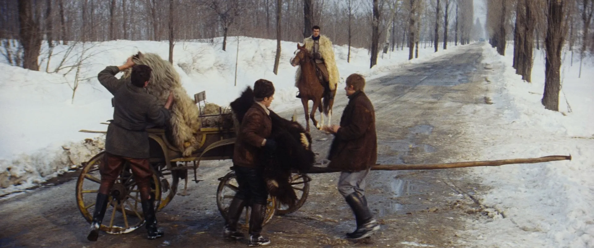 Sirokkó / Winter Wind (1969)