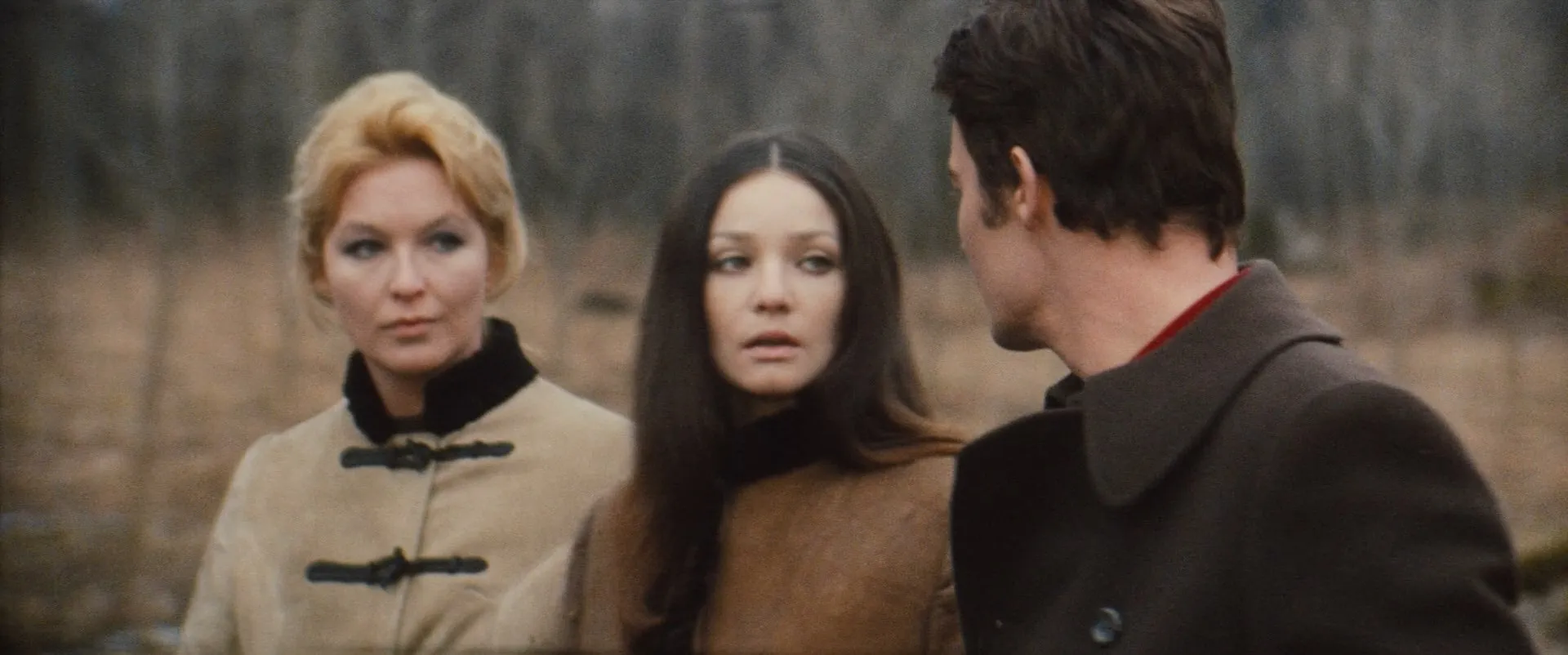 Sirokkó / Winter Wind (1969)