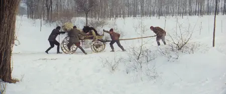 Sirokkó / Winter Wind (1969)
