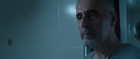 The Cut (2024)
