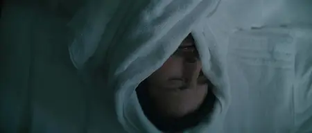 The Cut (2024)