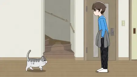Nights with a Cat - 78