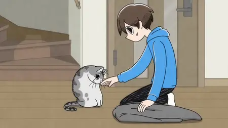 Nights with a Cat - 78