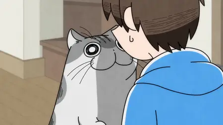 Nights with a Cat - 78