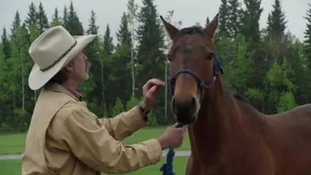 Heartland S12E01