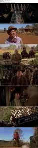 Back to the Future Part 3 (1990)