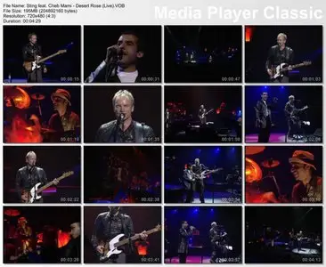 Sting feat. Cheb Mami - Desert Rose (Live)
