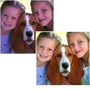 PictoColor® iCorrect® Portrait™ Photoshop Plug-in