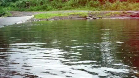 Piranhaconda (2012)