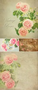 Stock Photo - Vintage Roses