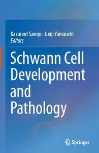 Schwann Cell Development and Pathology (repost)