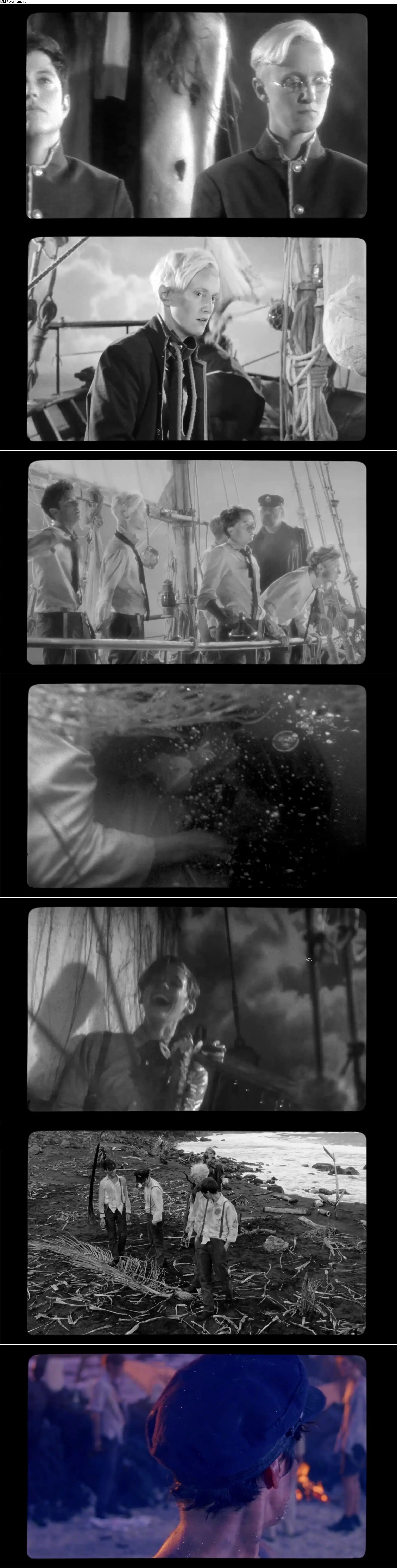 The Wild Boys (2017) Les garçons sauvages