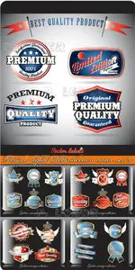 Vintage styled label collection vector set 21