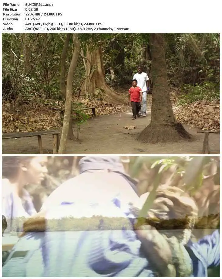 The Mirror Boy (2011)