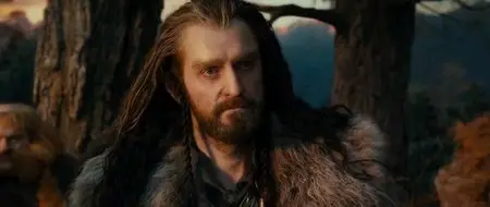 The Hobbit: An Unexpected Journey (2012)