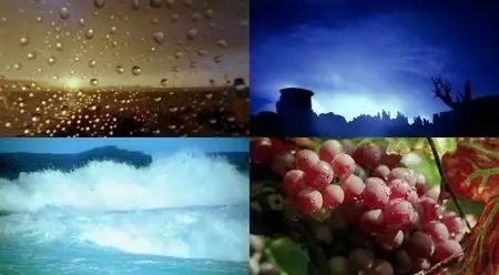 Faszination Natur: Seven Seasons