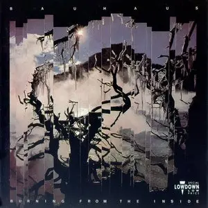 Bauhaus - Burning From The Inside (1983)