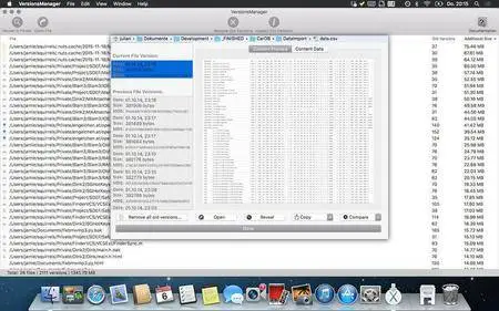 VersionsManager Pro 1.1.0 Mac OS X