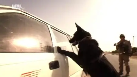 Discovery Channel - Glory Hounds (2013)