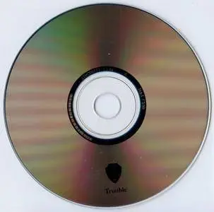 Jamie Saft - Trouble: The Jamie Saft Trio Plays Bob Dylan (2006) {Tzadik TZ 8111}