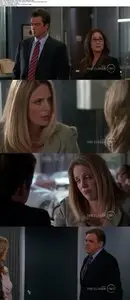 The Closer S07E08