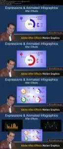 Adobe After Effects Expressions: Create Motion Infographics - Pie Graph
